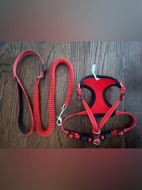 Adjustable Red Small Pet Harness with Matching Bungee Leash